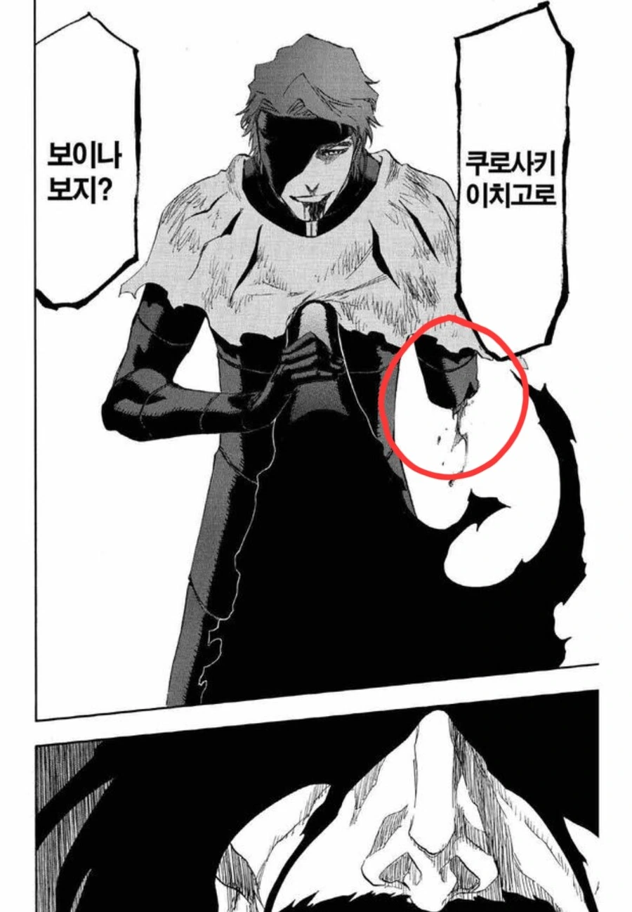 천년혈전 애니로 설명해줄지 의문인 아이젠 경화수월 전투씬.img_15.jpg
