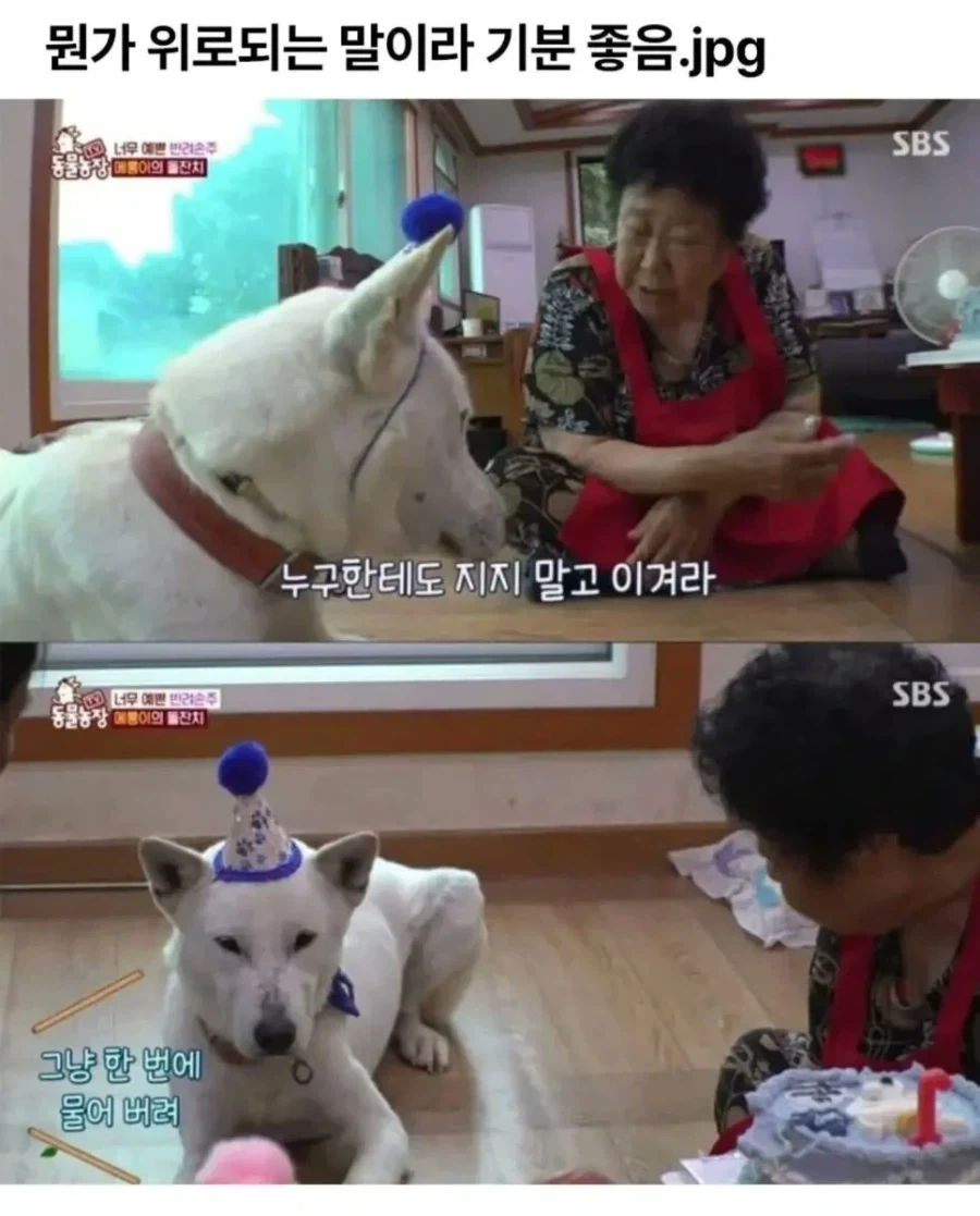 할미의 조언_1.webp