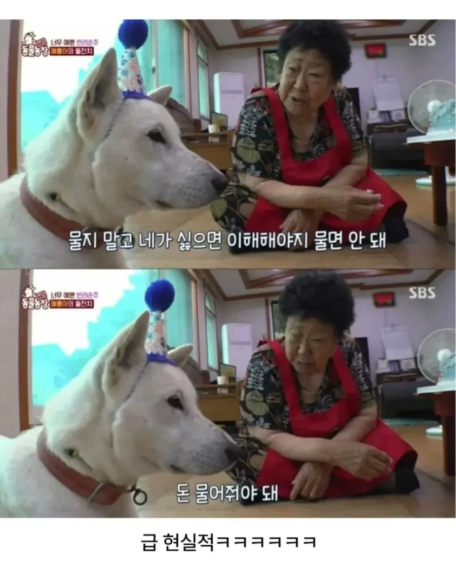 할미의 조언_2.webp
