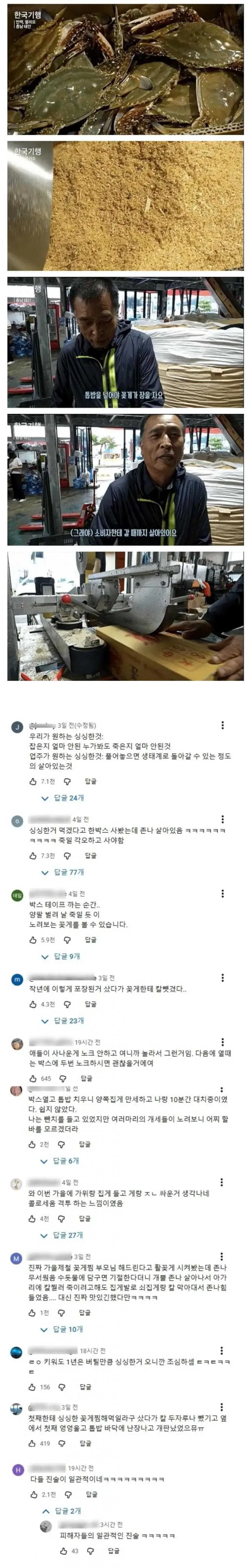 꽃게 위에 톱밥을 가득 얹는 이유_1.webp