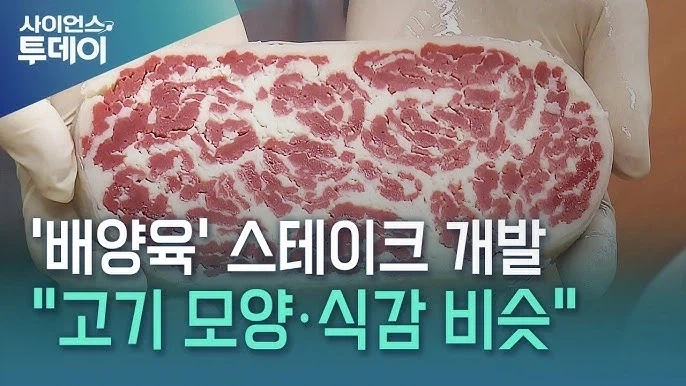 절대 벌레를 먹지 않겠단 인류의 의지_1.webp