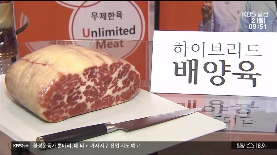 절대 벌레를 먹지 않겠단 인류의 의지_2.webp