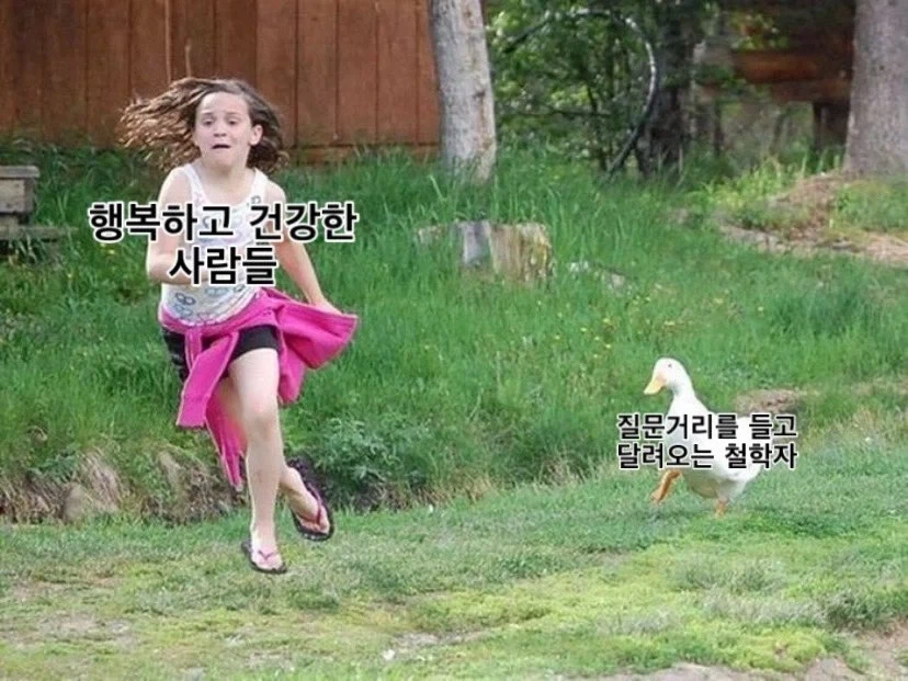 생각할거리를 던져주는 직업_1.webp