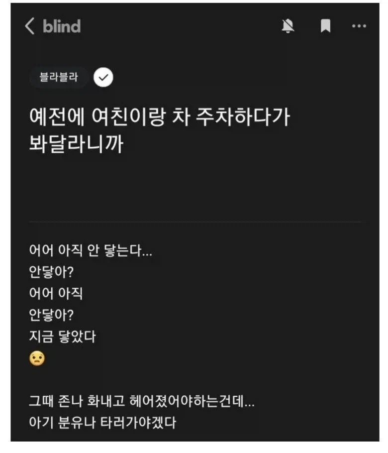 여친한테 주차 봐달라니까_1.webp