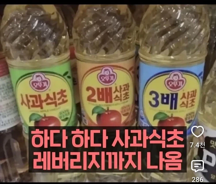 하다하다 식초도 레버리지로 파냐 이젠_1.webp