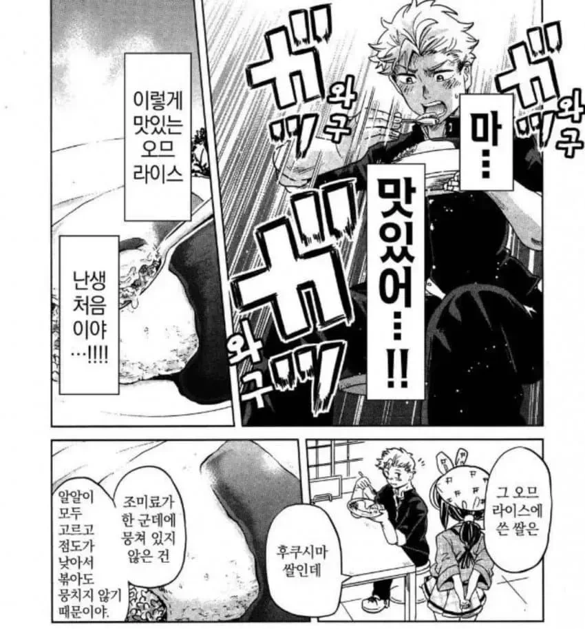 manga_2532504_008.webp