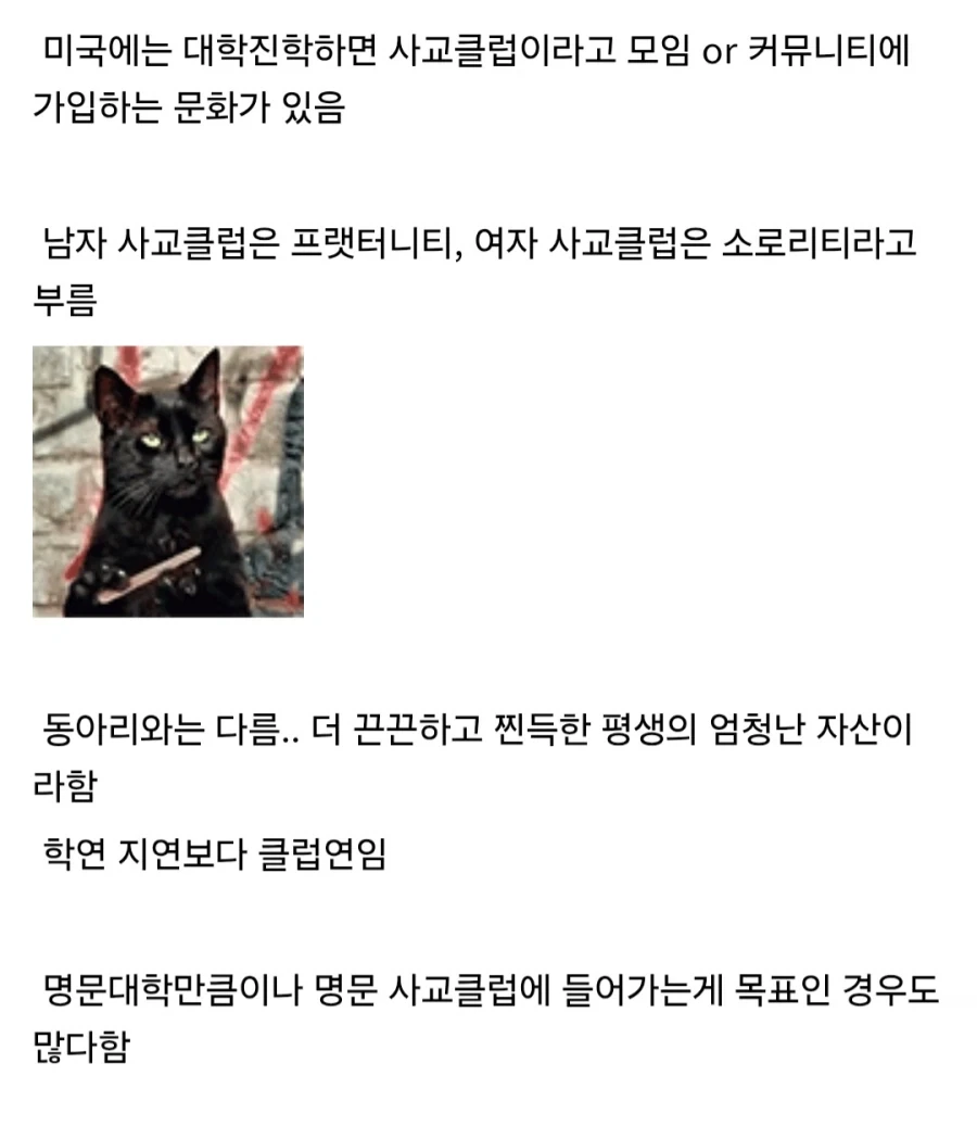 미국의 독특한 문화인