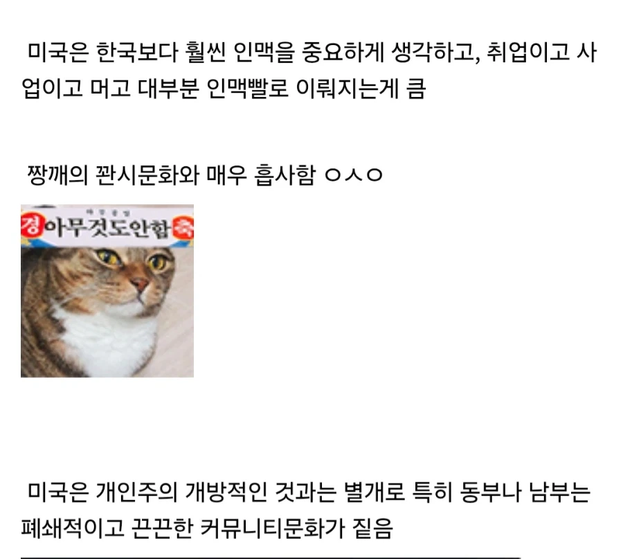 미국의 독특한 문화인