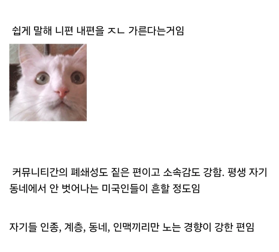 미국의 독특한 문화인