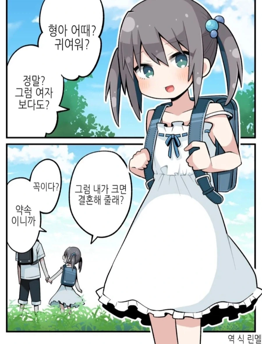 이제 키도 커졌고해서 여장은 안하겠다는 동생_1.webp