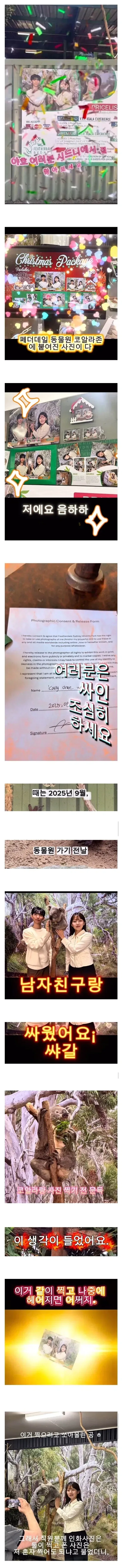 사진 공짜로 찍었다가 호주 명물이 된 한국인 커플.jpg_1.webp
