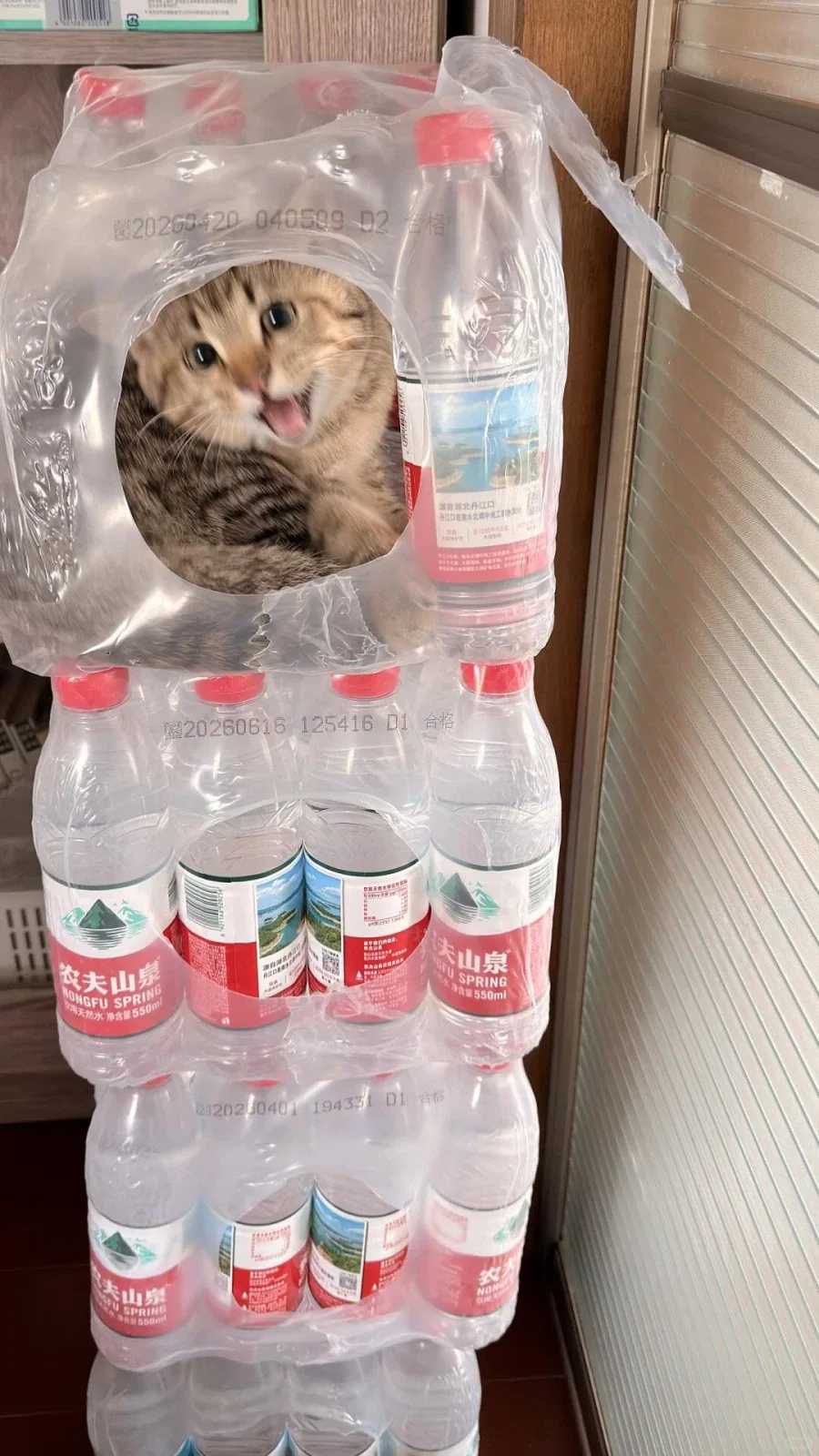 생수병 스파이 _1.webp