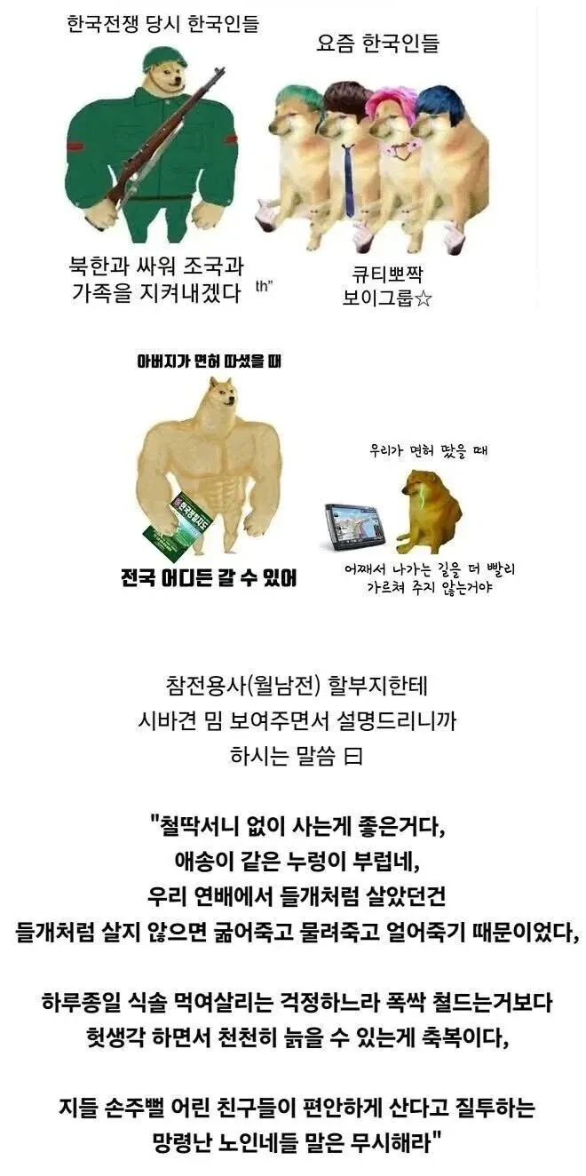 시바견 밈을본 할아버지 반응_1.webp
