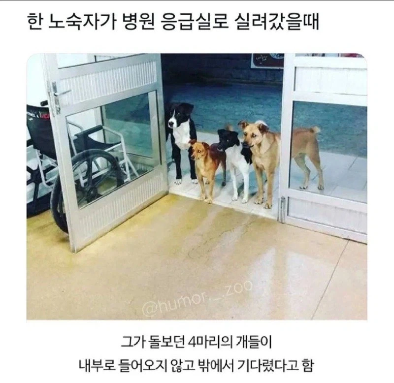 노숙자가 병원 응급실에 실려갔을때 jpg._1.webp