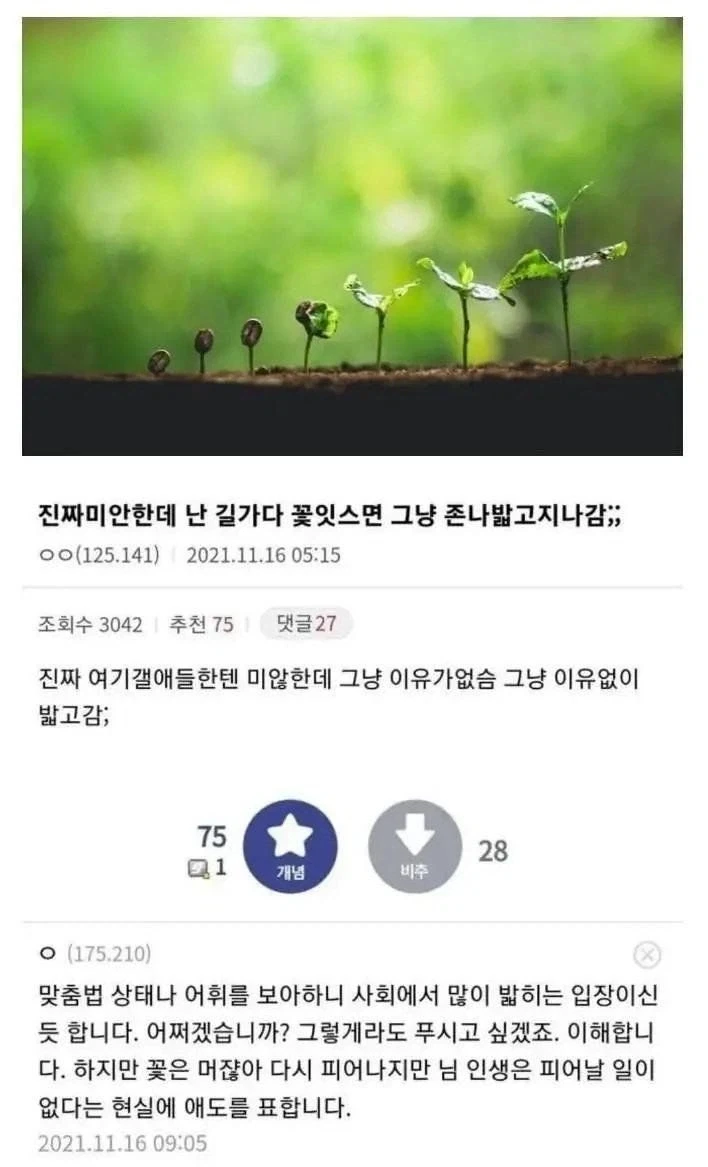 식물겔 사람들이 몹시 화가 났어요_1.webp