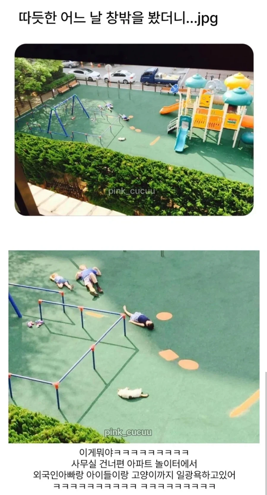 따뜻한 어느날 창밖을 봤더니.._1.webp