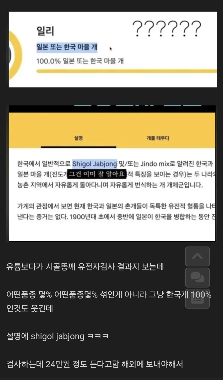 24만원 주고 강아지 유전자 해외 검사했더니 나온 결과_1.webp