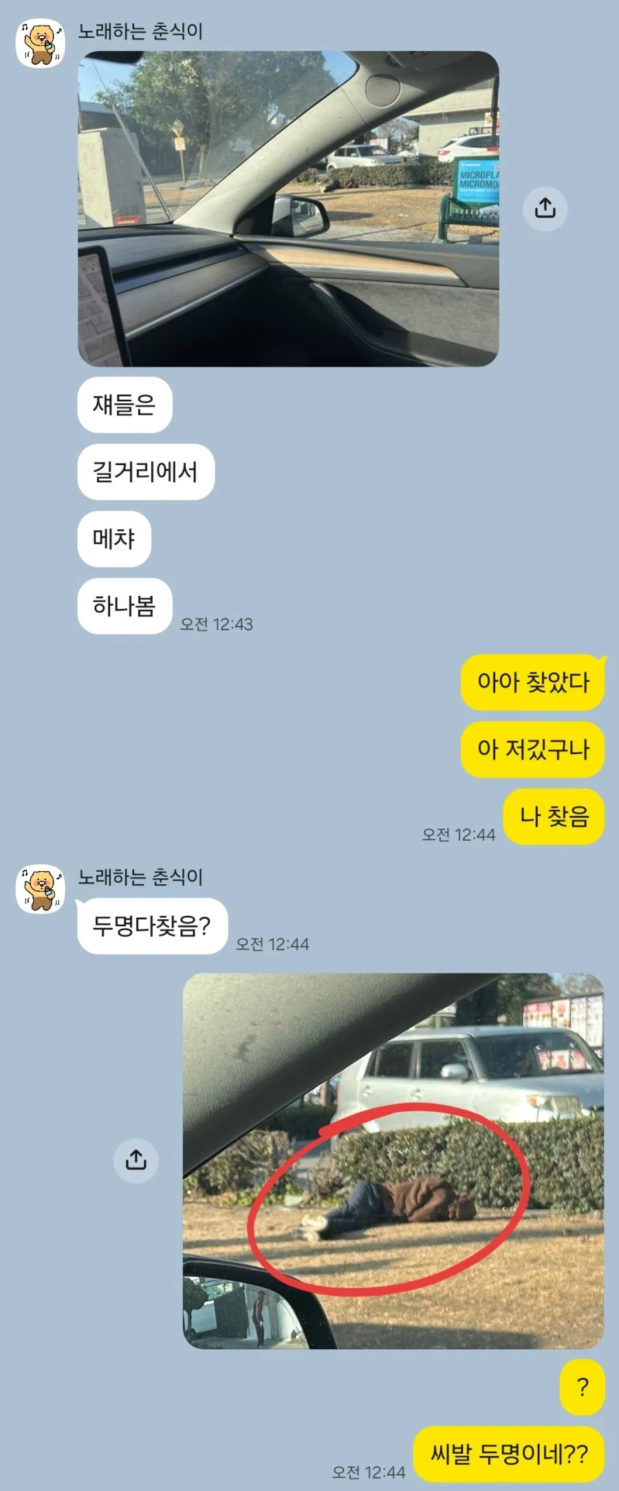 미국의 메챠 카멜레온_1.webp