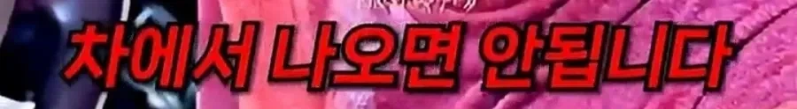 검문을 피하는 방법?_17.webp