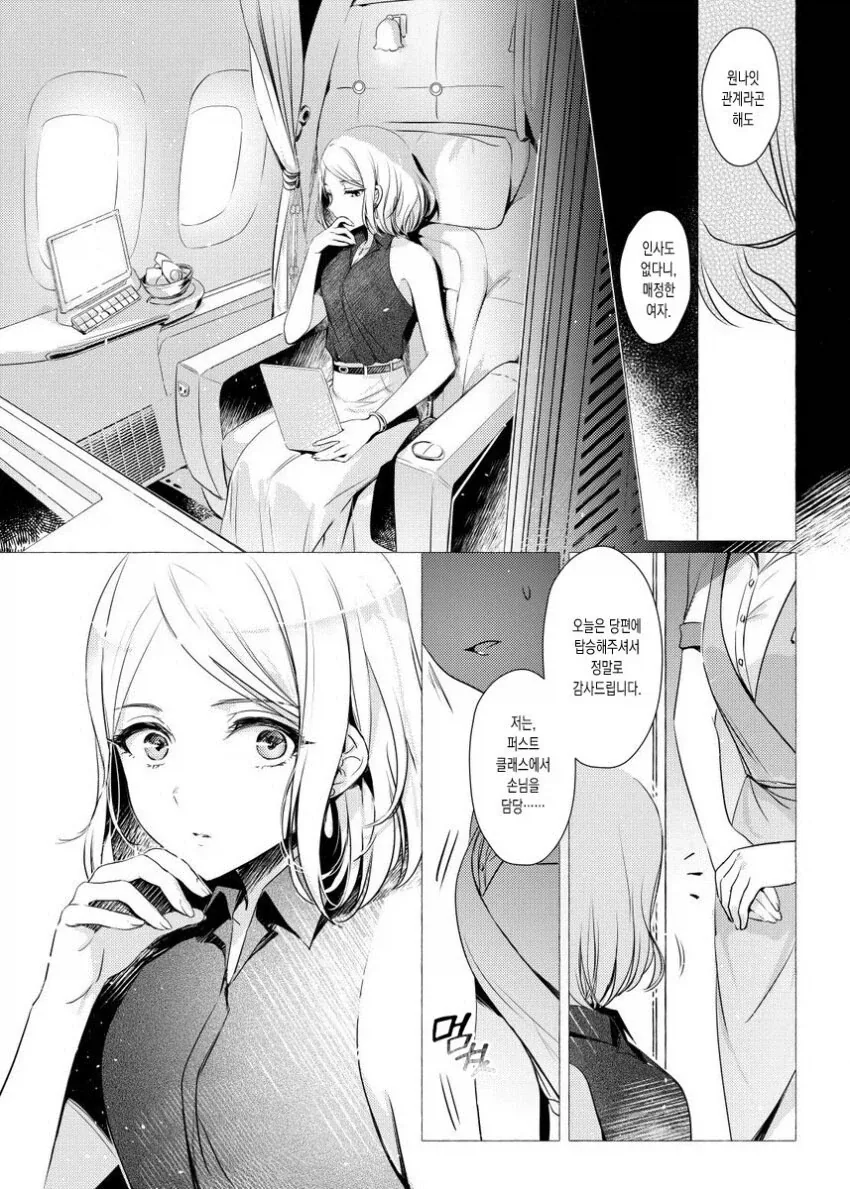 북극 항로를 지나던 비행기로 인해 북극의 얼음이 대부분 녹아..._3.webp