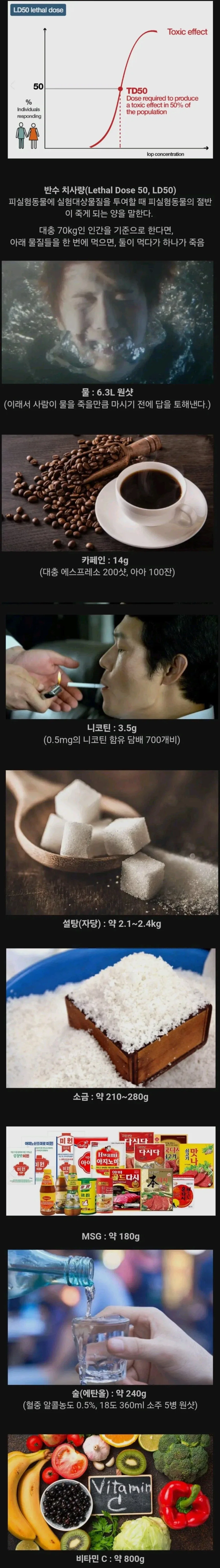 많이 먹으면 죽을수도 있다는 음식 jpg._1.webp