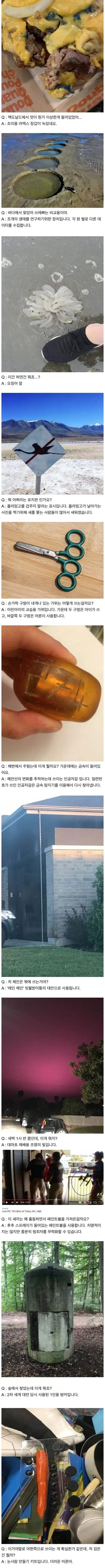 서양의 신기한 지식인 문답.jpg_1.webp