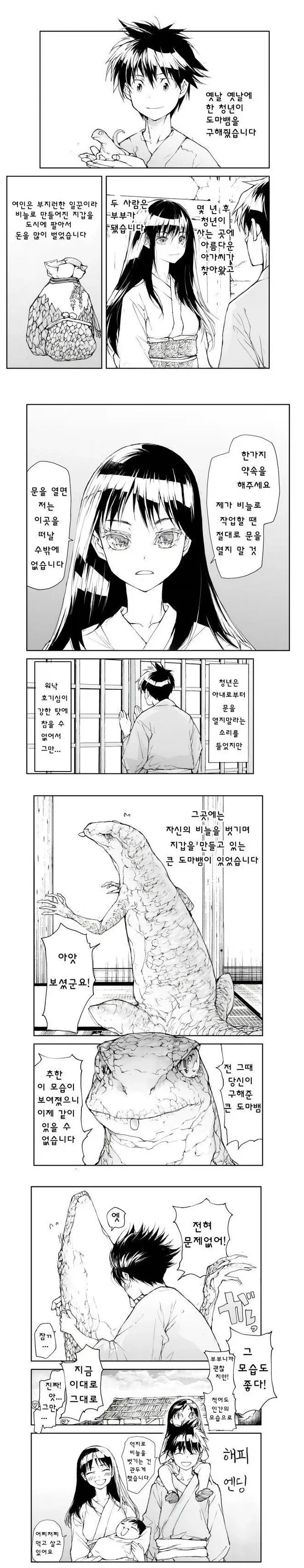 은혜갚은 도마뱀_1.webp
