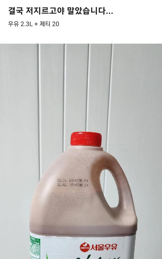 어릴 적 못 해본 거 해보기.jpg_2.jpeg
