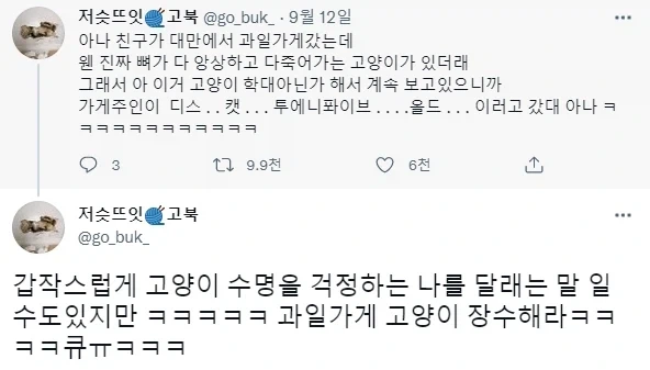 학대가 의심되는 삐쩍마른 과일가게 고양이.jpg_1.webp