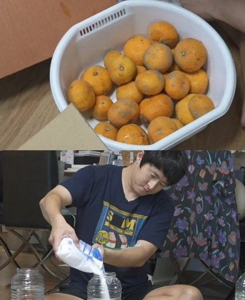 (기안84) 담금주 대참사.JPG_3.webp