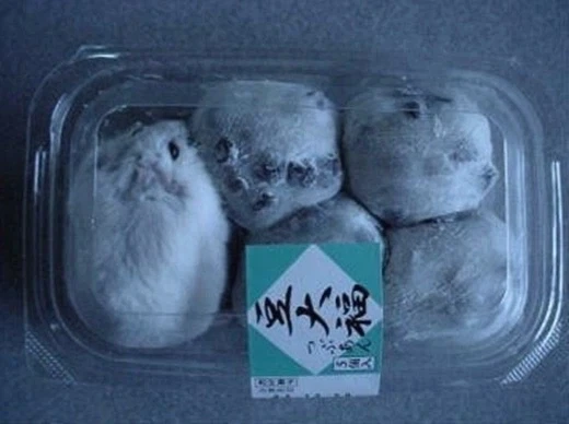 털 달린 떡.jpg_1.webp