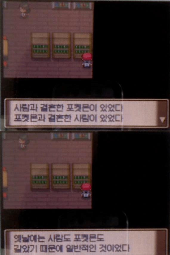manga_2074994_010.webp