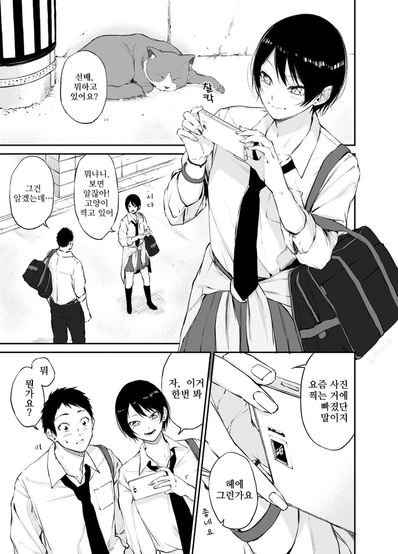 manga_2917248_001.webp