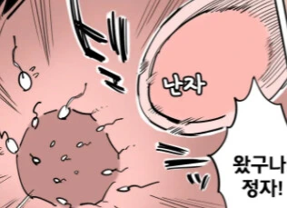 manga_3206592_001.webp