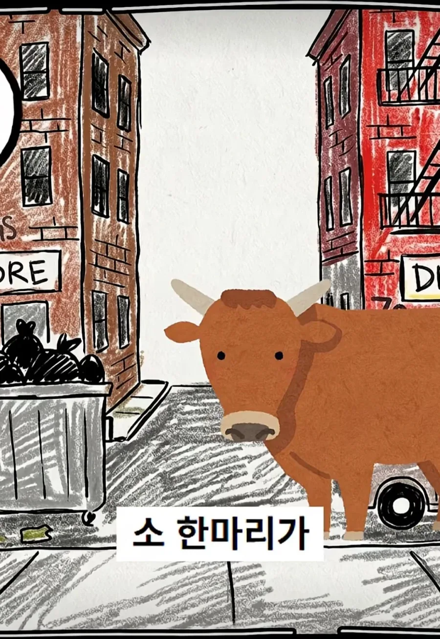 의외로 수능에서 사용하는 형식처럼 영어를 사용하는 곳_13.webp