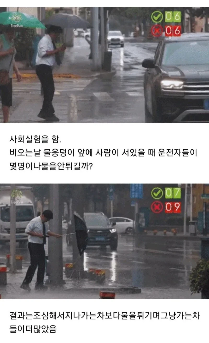 비오는 날 물웅덩이 사회실험.jpg_1.webp