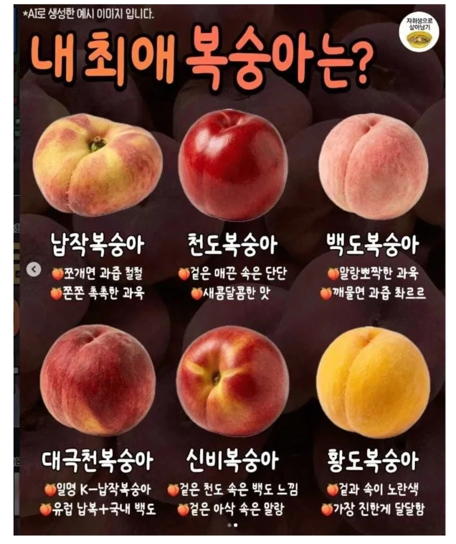 최애 복숭아를 고르시오._1.webp