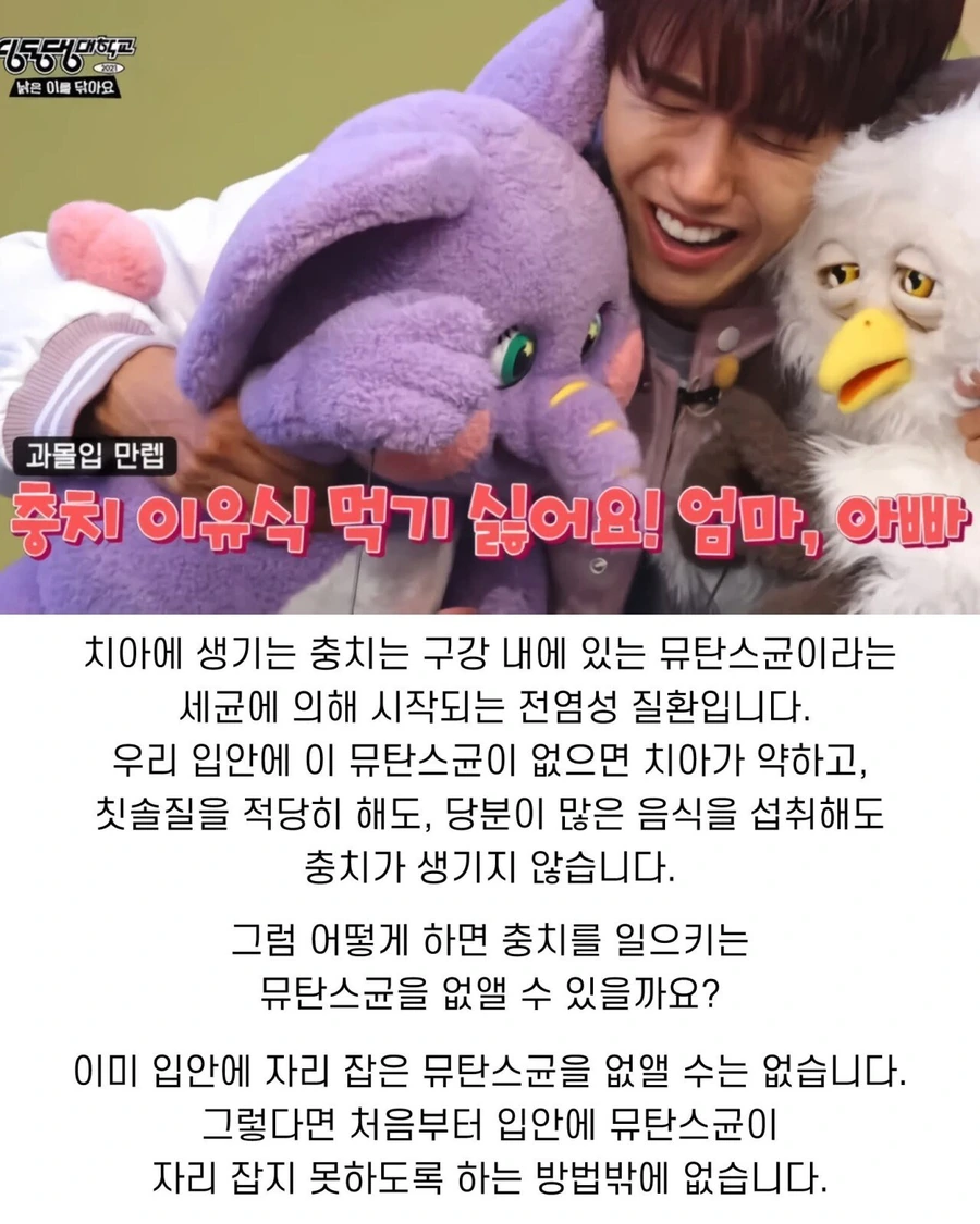 4.jpg 우리가 잘 모르는 충치 발생 최초의 원인은.jpg