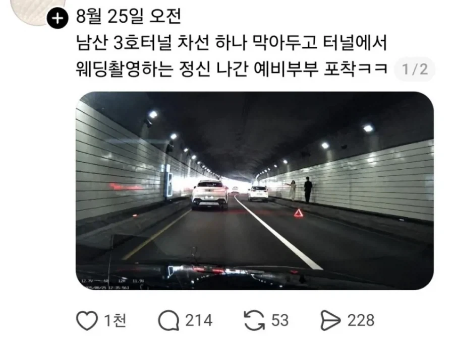 어서와 숲속 친구들_1.webp