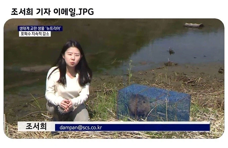 조