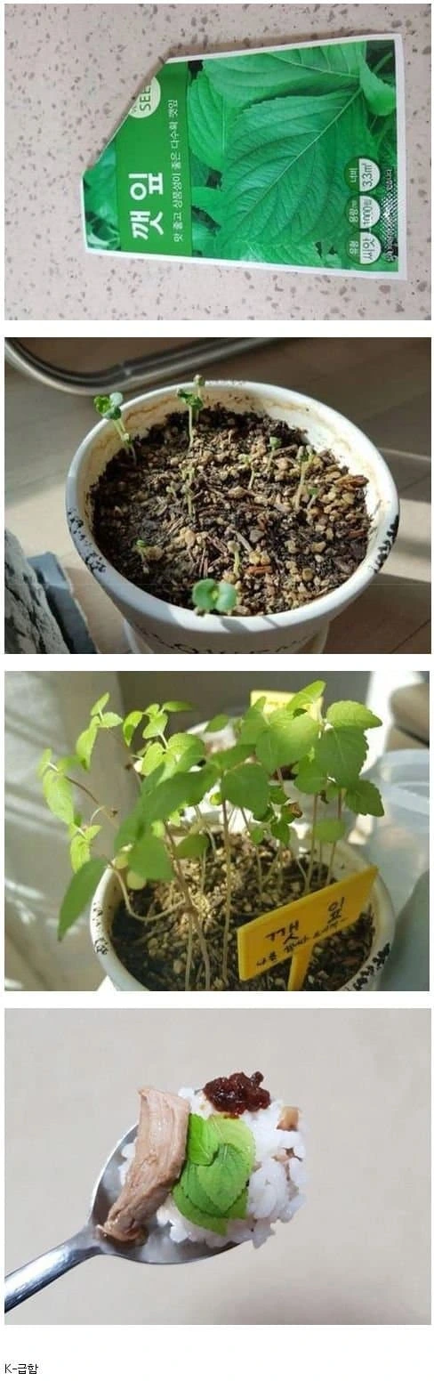 너무 급한 사람.jpg_1.jpg