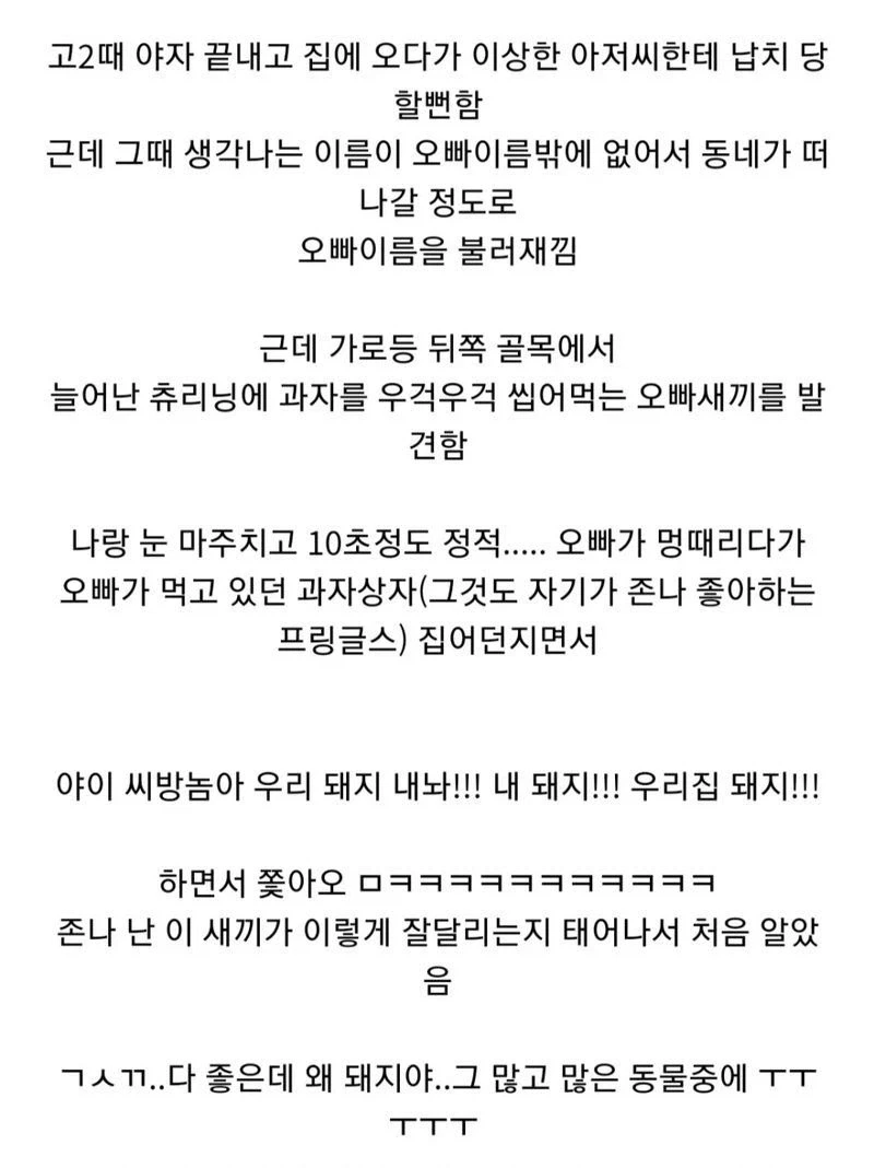 납치당할뻔한 여동생 구해주는 멋진 오빠_1.webp
