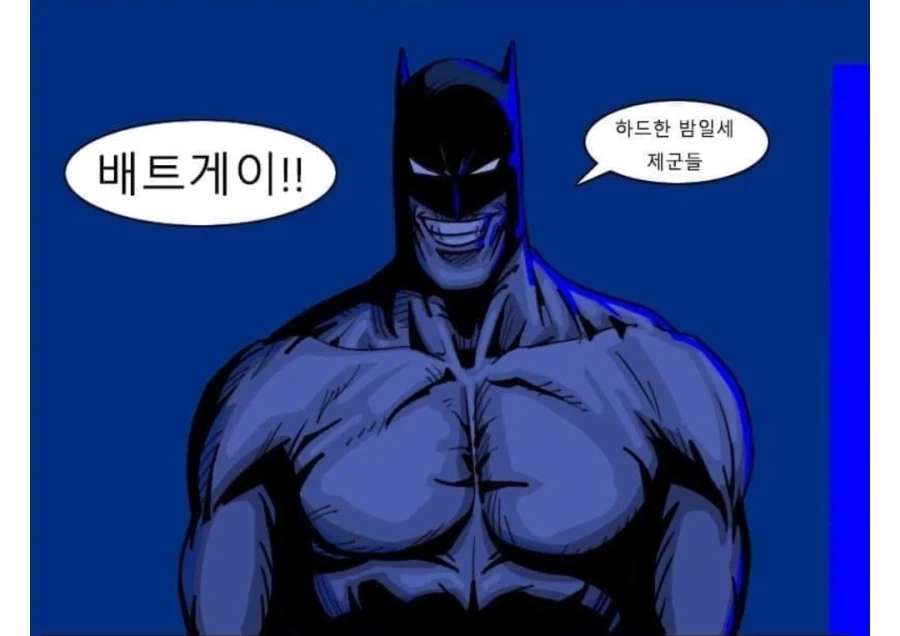 ???:와 서양에서 배트게이 보면 충격받겠는걸_1.webp