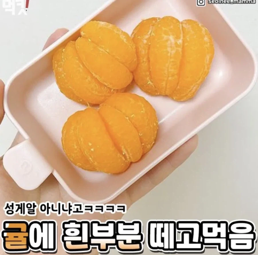 편식 심한 사람들 특징._2.webp