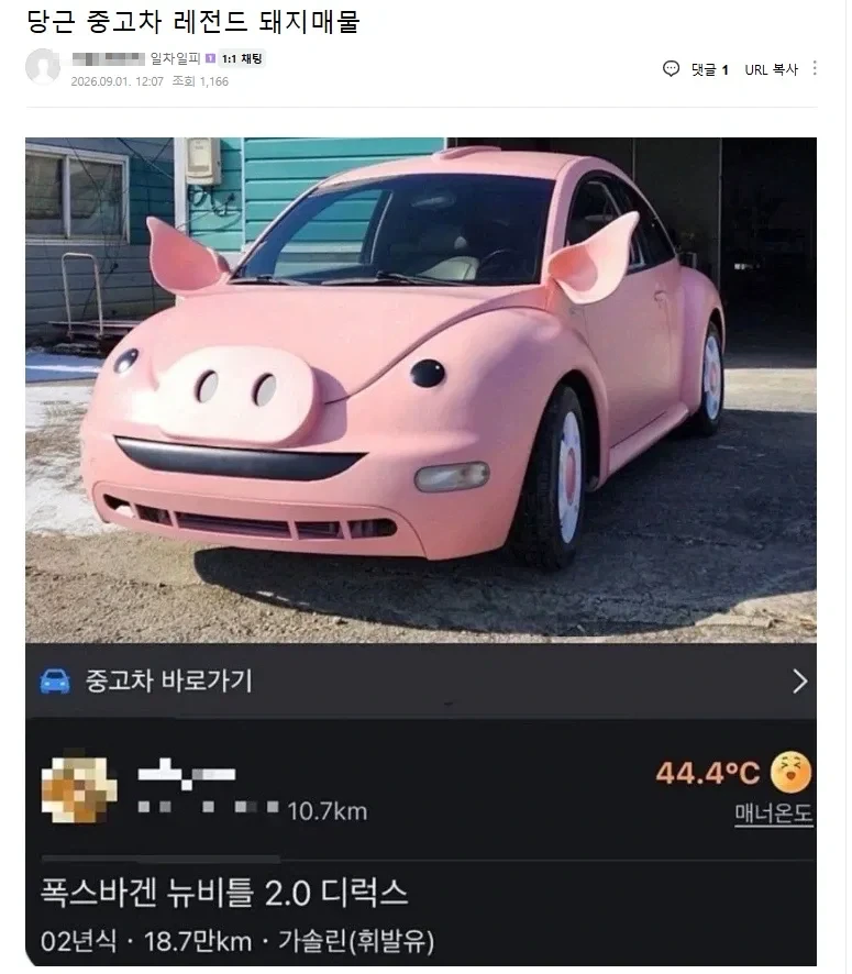 당근 중고차 레전드 돼지매물.jpg_1.webp