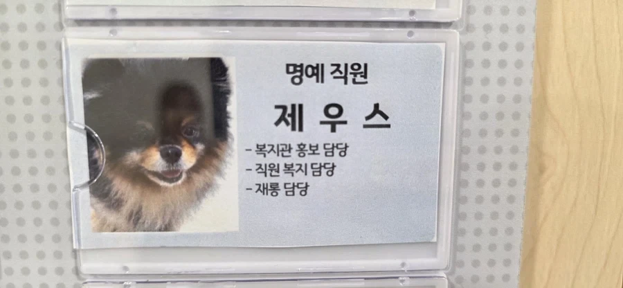 취업난이 심각해진이유_1.webp