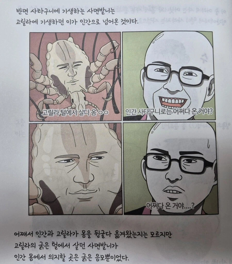 고릴라가 인간에게 선물한것_1.webp