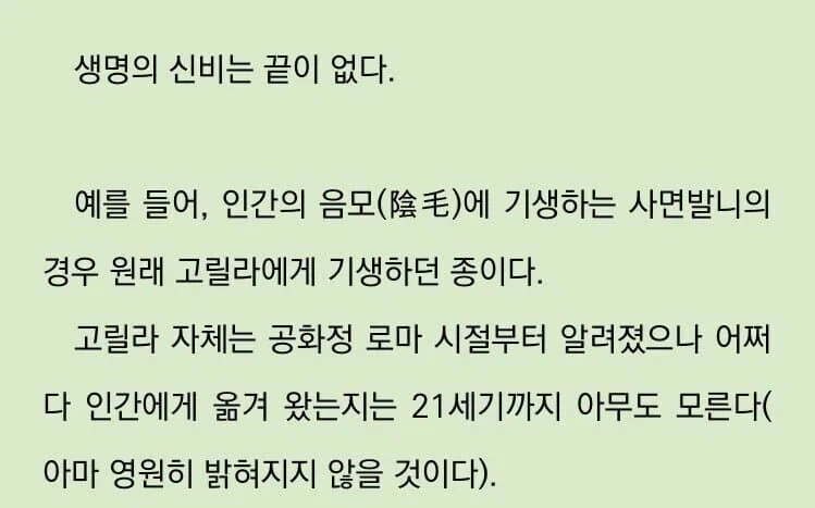 고릴라가 인간에게 선물한것_2.webp