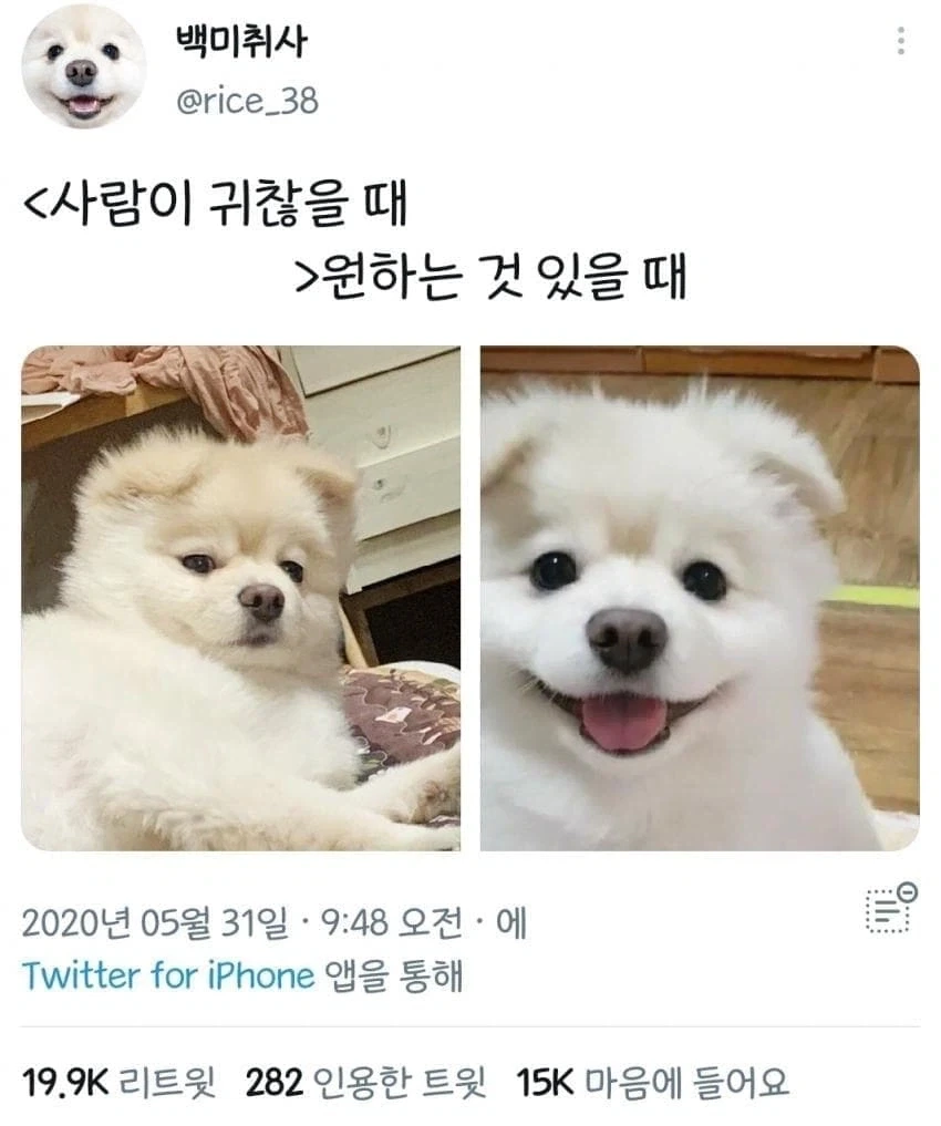 거짓말 못해서 얼굴에 다 드러나는 타입 ㅋ_1.webp
