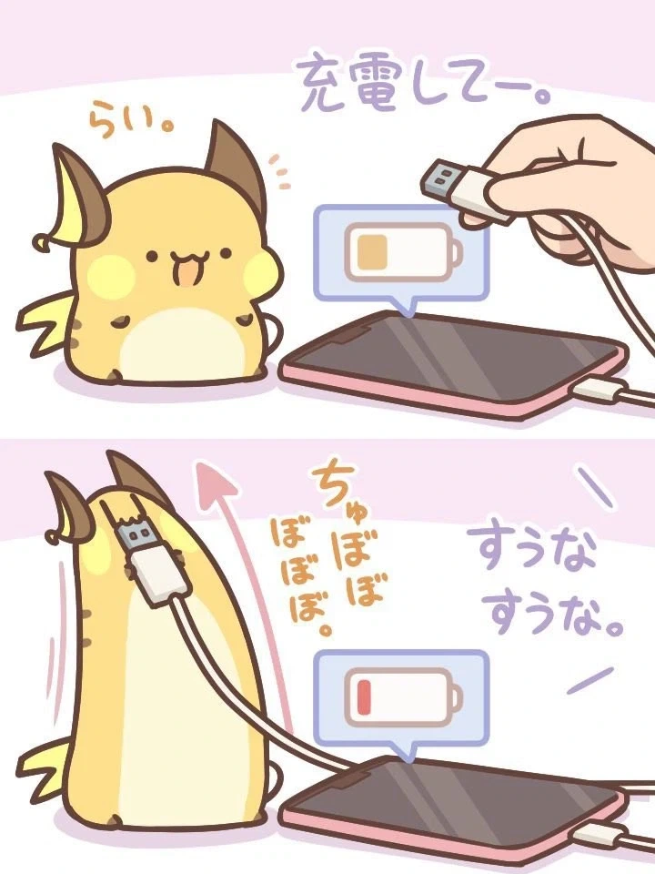 라이츄 충전기_1.webp